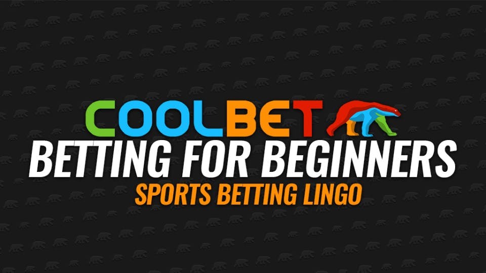 Betting For Beginners Sports Betting Lingo